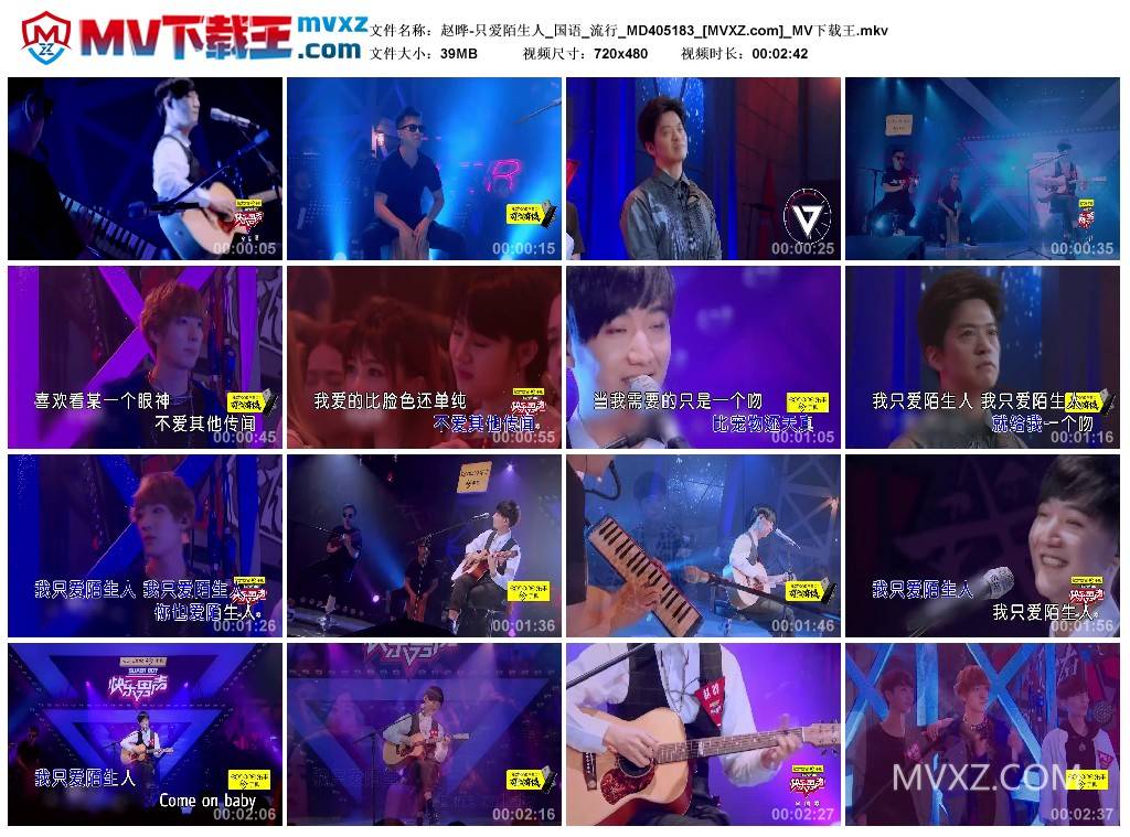 赵晔-只爱陌生人_国语_流行_MD405183
